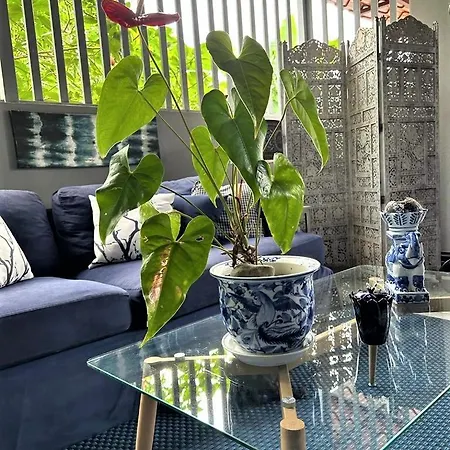 Casa Sophia: Triple Apartment Options with Wi-Fi Guapiles Exterior photo