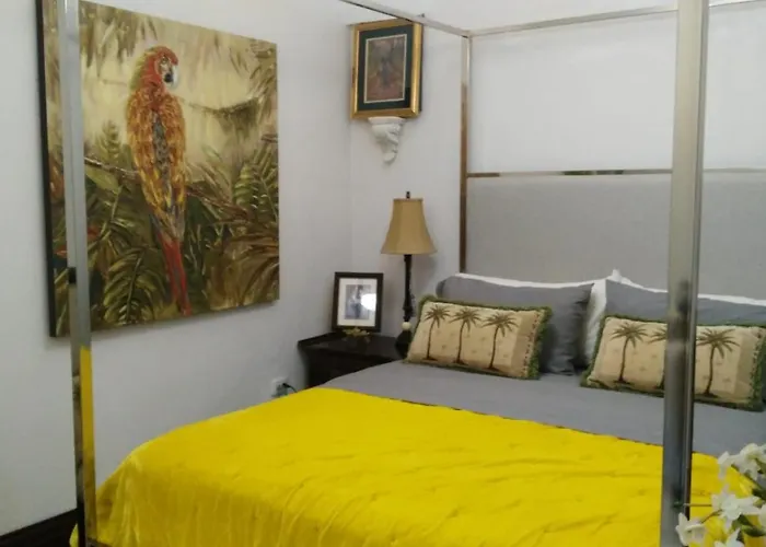 Casa Sophia 3 Listings Apartment 1 Or Apartment 2 Separately Or Apt 1 And 2 Together All With Fo Internet