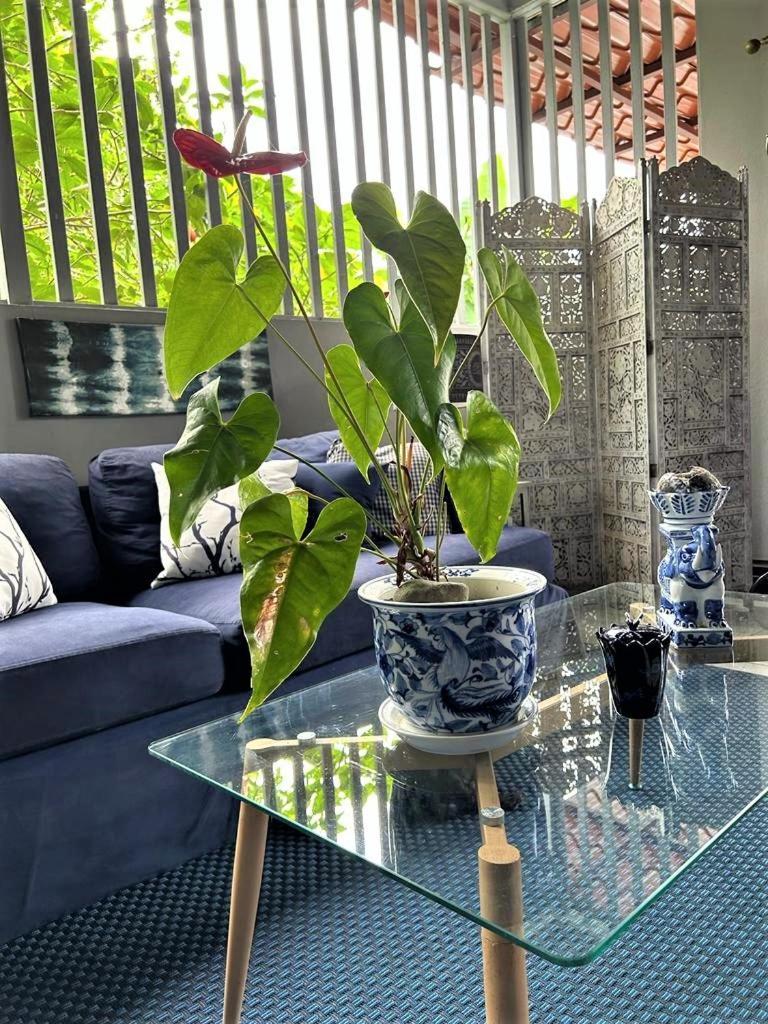 Apartment Casa Sophia: Triple Options With Wi-fi Guapiles